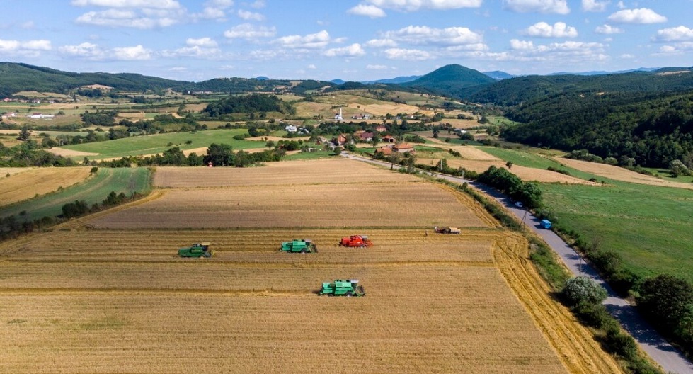 E varur nga importi, Kosova as kete vit nuk siguron mjaftueshem grure